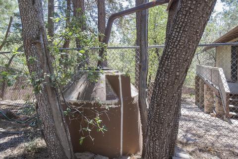 3255 N Miller --, Pine, AZ 85544 photo 40
