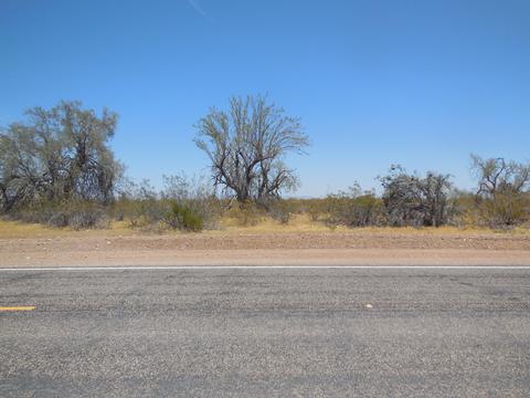 373 W Rd W Salome Hwy #-, Tonopah, AZ 85354