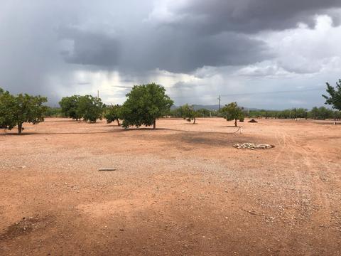 3237 W Mustang Rd, Douglas, AZ 85607 photo 25