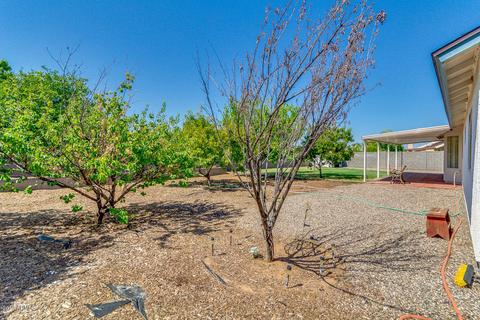 8133 Encanto St, Mesa, AZ 85207 photo 23