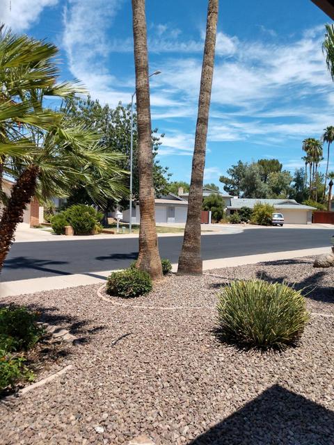 2227 S Johnson Cir, Mesa, AZ 85202 photo 4