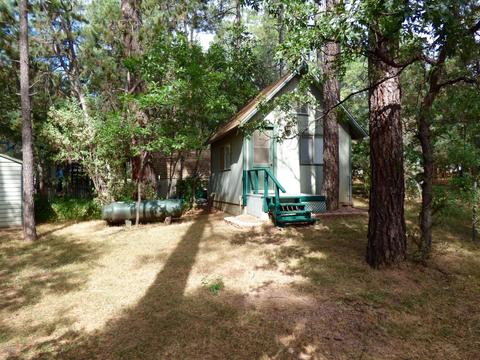 3368 N Bradshaw Cir, Pine, AZ 85544 photo 3