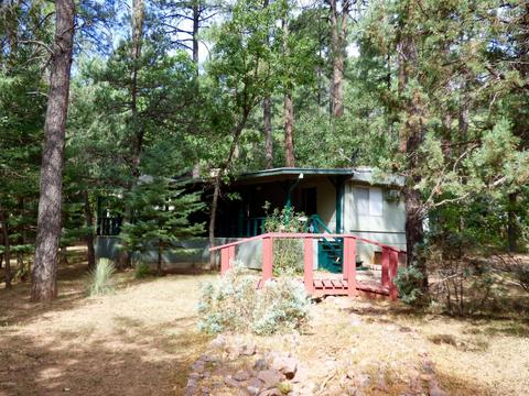 3368 N Bradshaw Cir, Pine, AZ 85544 photo 1