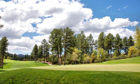 2306 E Scarlet Bugler Cir, Payson, AZ 85541 photo 60