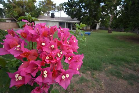 2818 E Highland Ave, Phoenix, AZ 85016 photo 26
