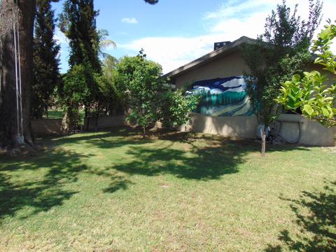 2338 E Hale St, Mesa, AZ 85213 photo 71