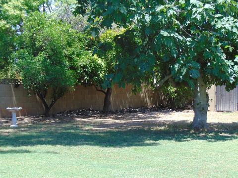 2338 E Hale St, Mesa, AZ 85213 photo 63