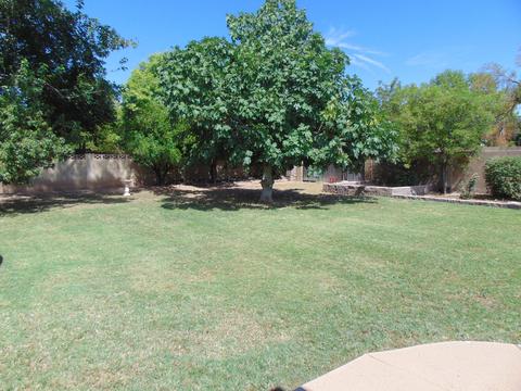2338 E Hale St, Mesa, AZ 85213 photo 51