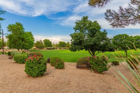 897 E Cathy Dr, Gilbert, AZ 85296 photo 29