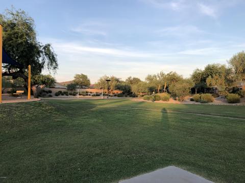 826 E Ross Ave, Phoenix, AZ 85024 photo 37