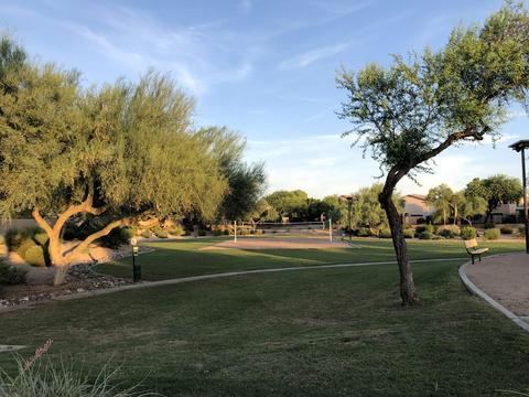 826 E Ross Ave, Phoenix, AZ 85024 photo 38