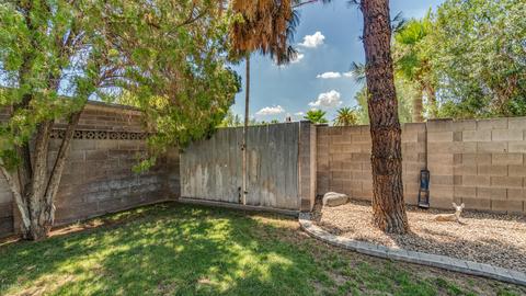 713 E Draper St, Mesa, AZ 85203 photo 43