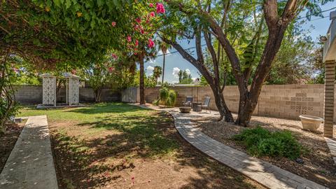 713 E Draper St, Mesa, AZ 85203 photo 41
