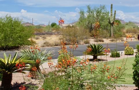 8535 E Hillview Cir, Mesa, AZ 85207 photo 6