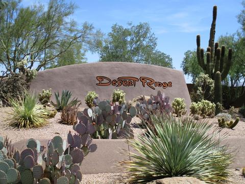 4528 E Mossman Rd, Phoenix, AZ 85050 photo 6
