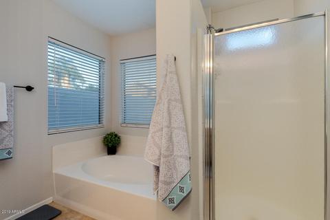 307 W Constitution Dr, Gilbert, AZ 85233 photo 19