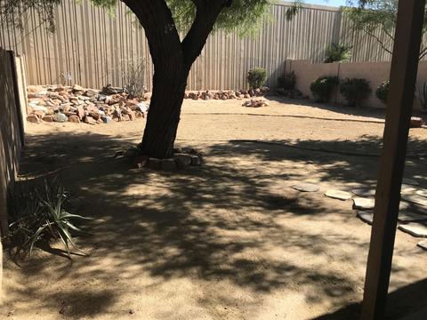 1102 Escuda Dr, Phoenix, AZ 85024 photo 5