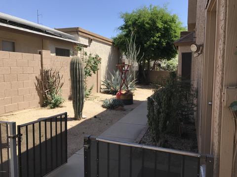 1102 Escuda Dr, Phoenix, AZ 85024 photo 3