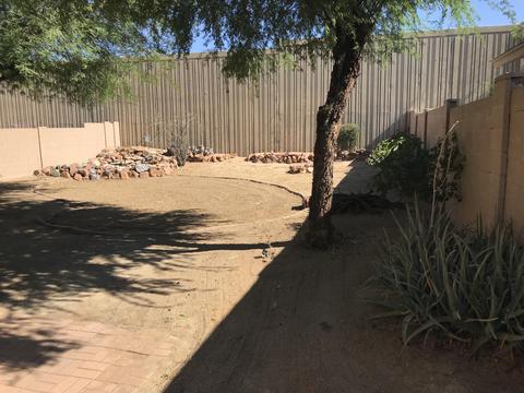 1102 Escuda Dr, Phoenix, AZ 85024 photo 4
