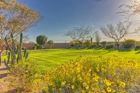 7816 E Kael St, Mesa, AZ 85207 photo 20