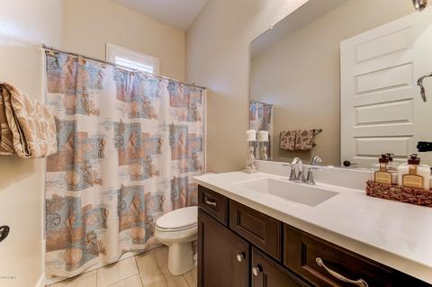 10604 E Lumiere Ave, Mesa, AZ 85212 photo 32