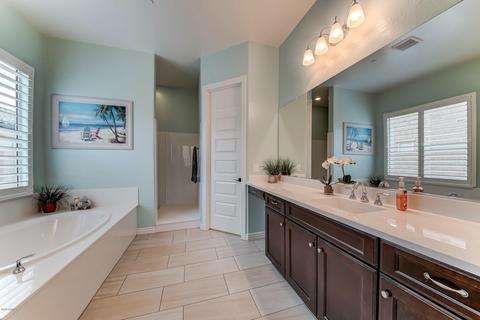10604 E Lumiere Ave, Mesa, AZ 85212 photo 25