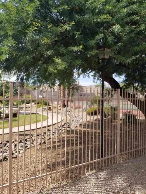 4043 E Bloomfield Rd, Phoenix, AZ 85032 photo 18