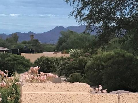 4411 E North Ln, Phoenix, AZ 85028 photo 42