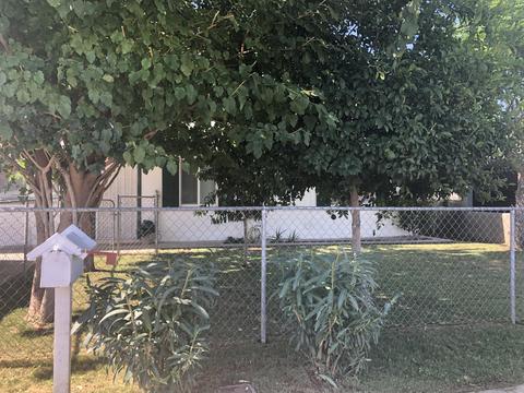 1619 W North Ln, Phoenix, AZ 85021 photo 5