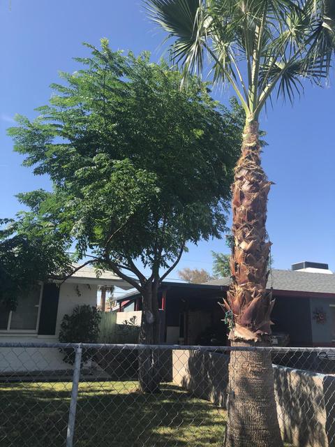 1619 W North Ln, Phoenix, AZ 85021 photo 4