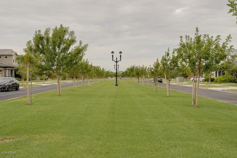 2977 E Sagebrush St, Gilbert, AZ 85296 photo 78