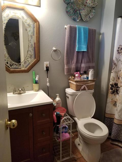 926 Euclid Ave, Phoenix, AZ 85042 photo 23