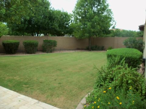 3883 E Amber Ln, Gilbert, AZ 85296 photo 18