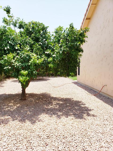 2909 E Northridge St, Mesa, AZ 85213 photo 45