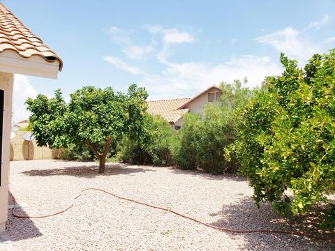 2909 E Northridge St, Mesa, AZ 85213 photo 36
