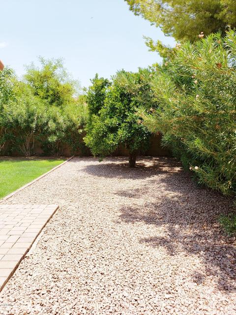 2909 E Northridge St, Mesa, AZ 85213 photo 42