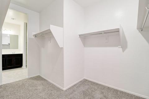 10286 E Marigold Ln, Florence, AZ 85132 photo 30