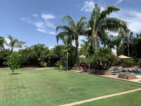 11416 E Ramona Ave, Mesa, AZ 85212 photo 20