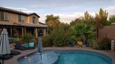 1935 W Carter Rd, Phoenix, AZ 85041 photo 16