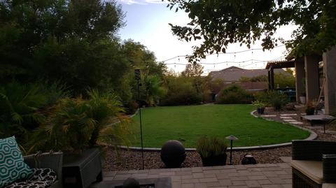 1935 W Carter Rd, Phoenix, AZ 85041 photo 26
