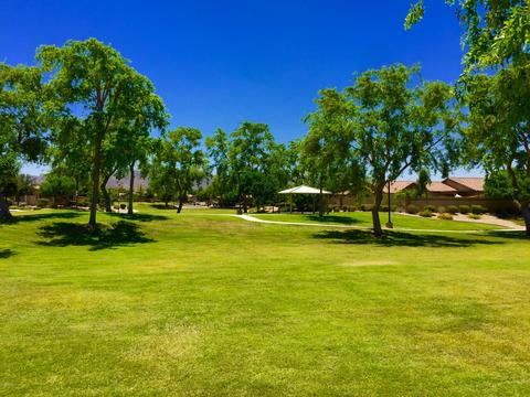 6023 S 22nd Dr, Phoenix, AZ 85041 photo 16