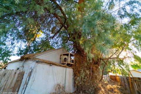 908 E Pasadena Ave, Phoenix, AZ 85014 photo 6