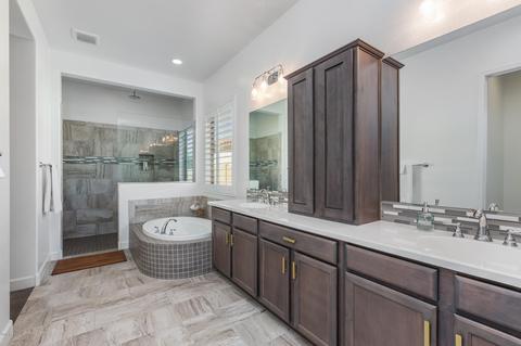 10410 E Gamma Ave, Mesa, AZ 85212 photo 23