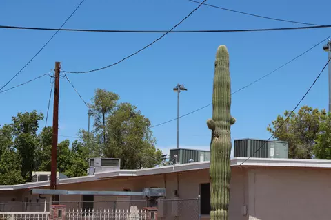 1042 E Townley Ave, Phoenix, AZ 85020 photo 24
