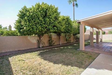 3236 N Saffron --, Mesa, AZ 85215 photo 29