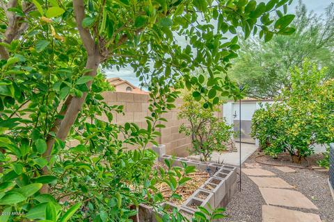 3501 E Windsong Dr, Phoenix, AZ 85048 photo 27