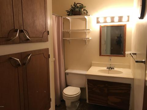 1912 E Palmcroft Dr, Tempe, AZ 85282 photo 13