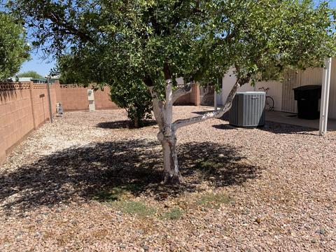 3160 E Main St #22, Mesa, AZ 85213 photo 29