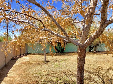 2011 W Flower St, Phoenix, AZ 85015 photo 39