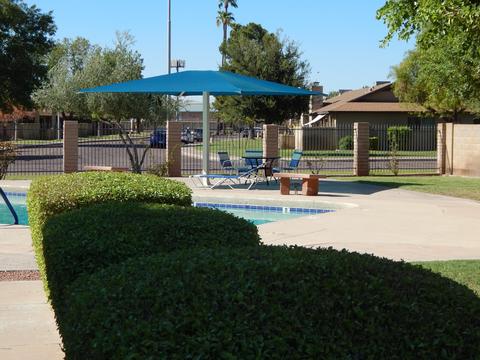 1145 E Redmon Dr #D, Tempe, AZ 85283 photo 18